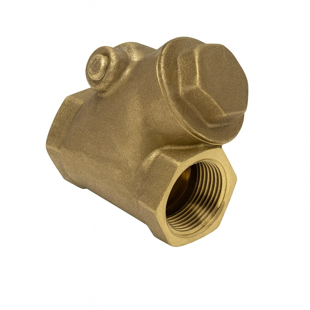 Válvula check pistón columpio 3/4"